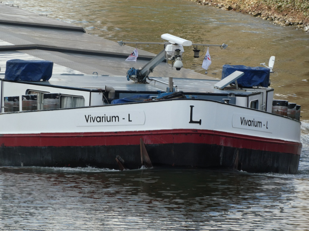 2021.02.26c Vivarium L