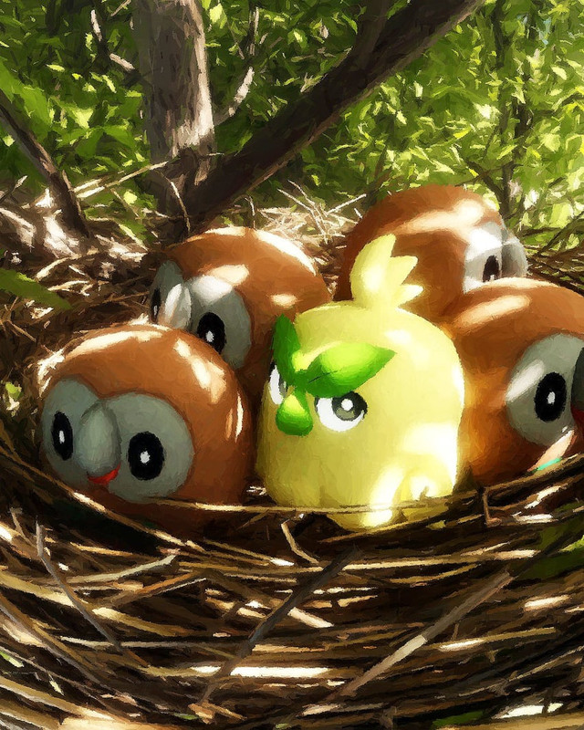 rowlet-and-browt-pokemon-drawn-by-rivalc