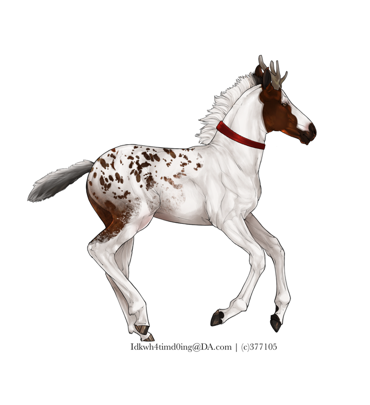 49-B7-B74-E-4-D7-F-408-E-A215-86-F244-DFD8-C0.png