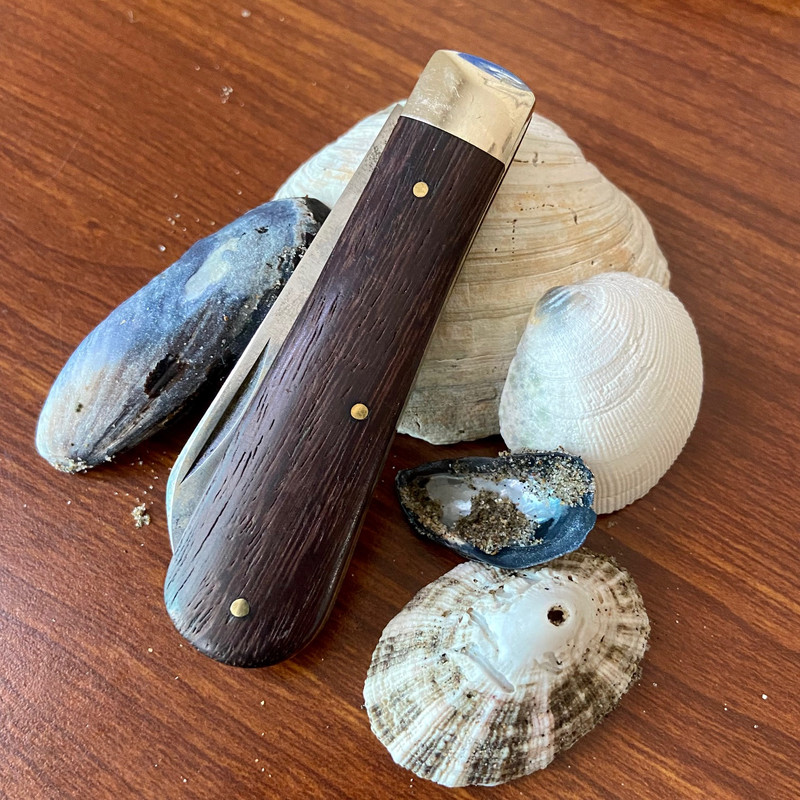 235D781B-BBDD-4C8F-AB54-3C0306548D0B