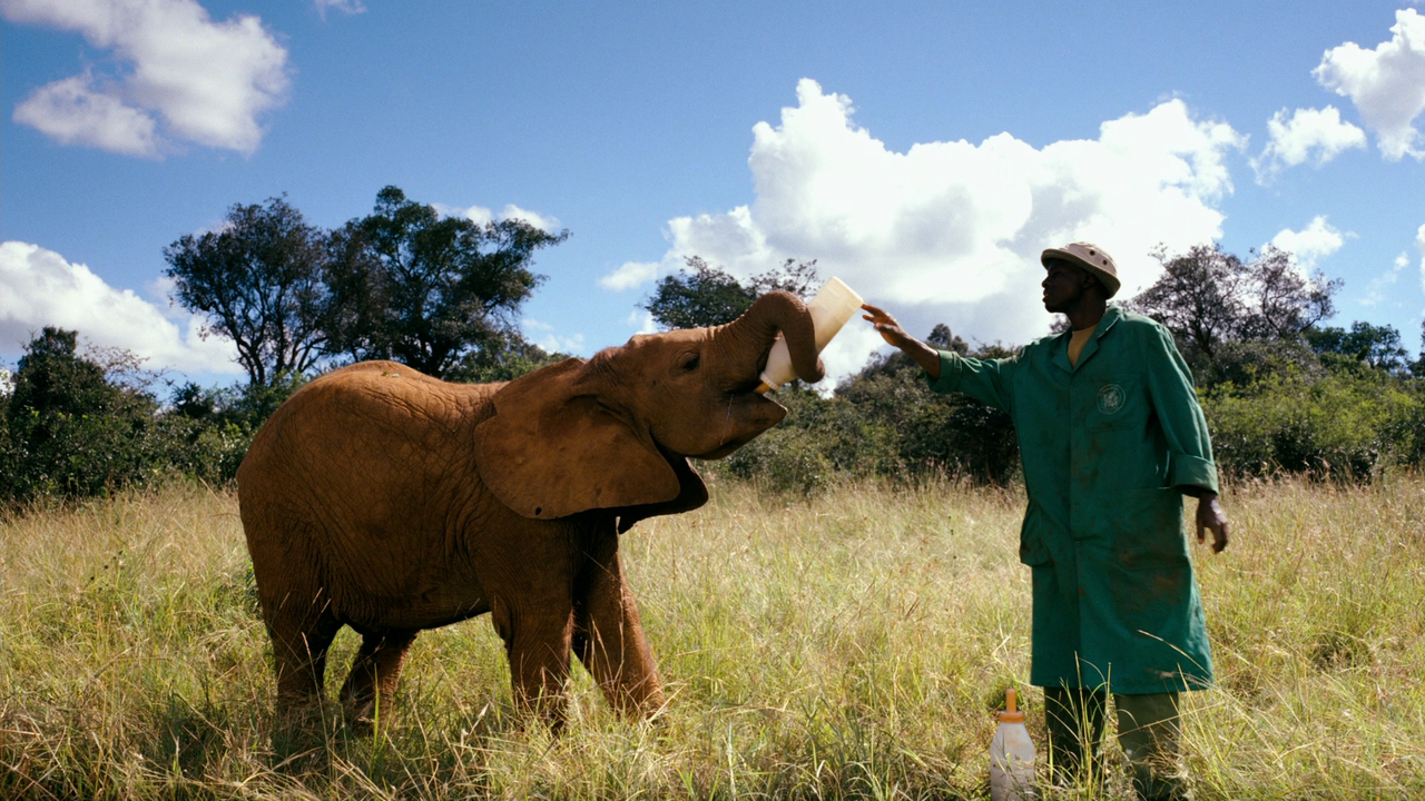 vlcsnap-2023-02-06-15h06m57s703