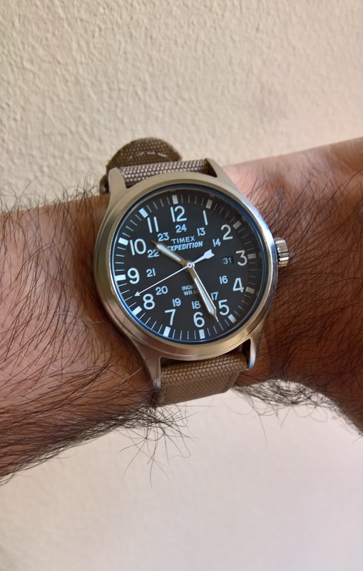 WP_20190731_10_27_29_Pro_LI (2)