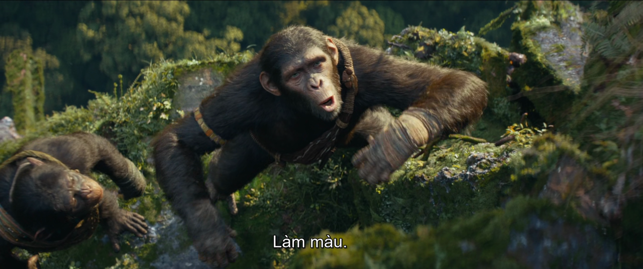 vlcsnap 2025 12 19 19h27m01s704