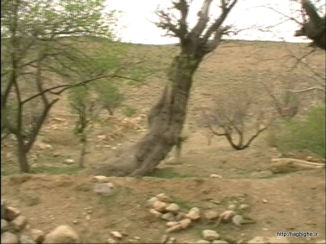 P-Apr04-114223