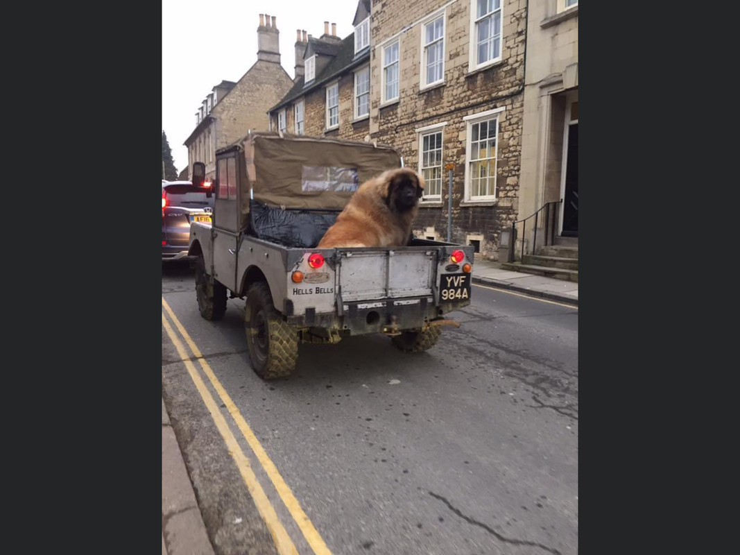 377342E7-14E4-4B1B-B5A2-ABFCE645BF4A