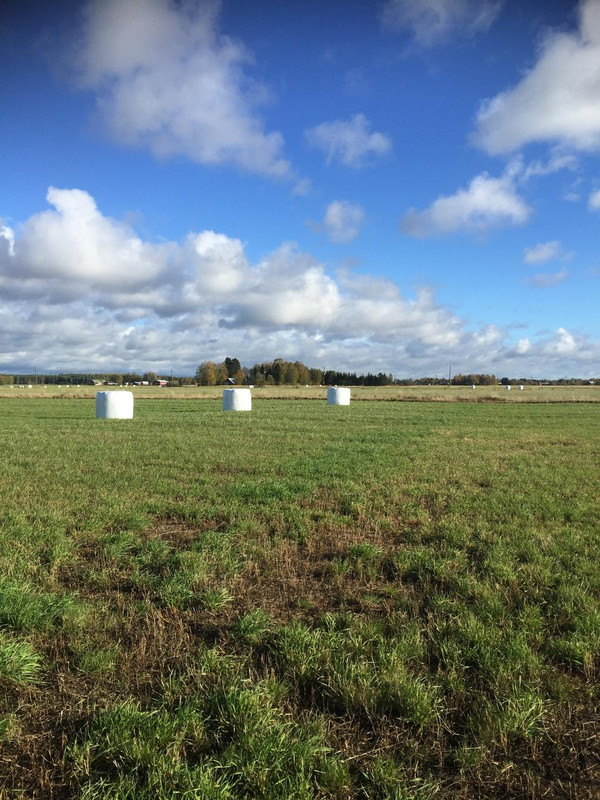 46F74E8B-82CC-4570-8B1E-098A12F627EB