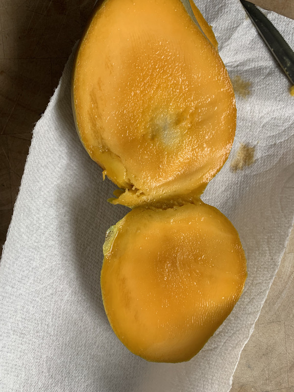 9CAA6537-31FC-41E0-867A-DAF28AE1BA6D