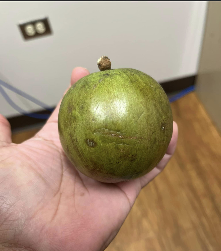 B4CBB6C6-BB14-4C91-B6C6-FC6A45E4B742