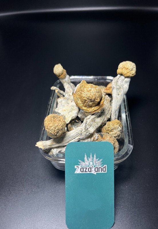 Killa Gorilla Mushrooms