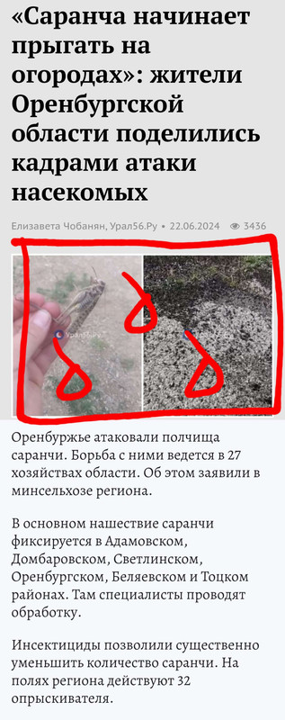 https://i.postimg.cc/cHXtqkFv/image-merge-1720334046199-png.jpg