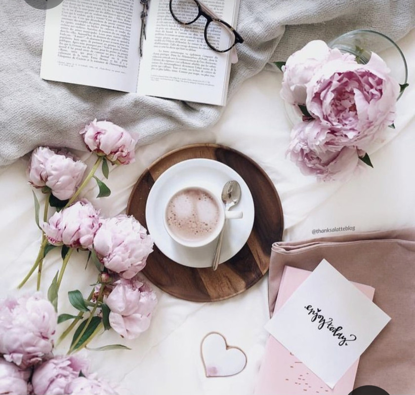 Screenshot_20230316_012313_Pinterest