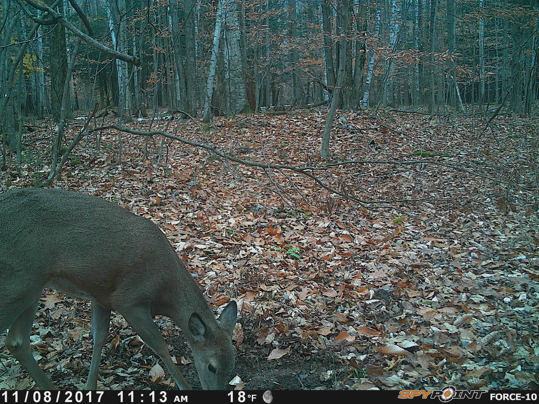 1EC5E2DC-68C4-40F6-8F92-E3BD3A4F9006