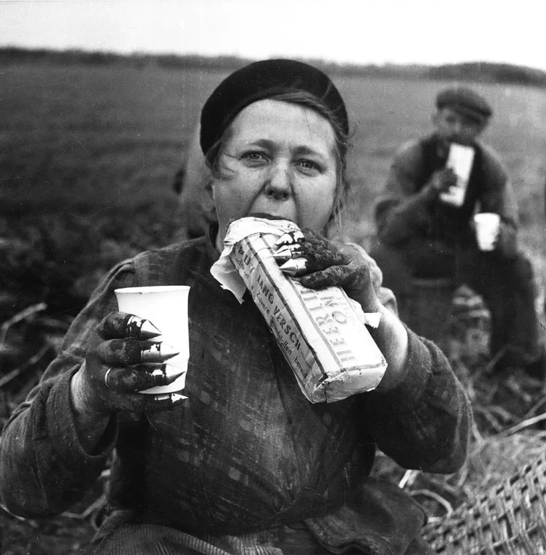 potato-diggers