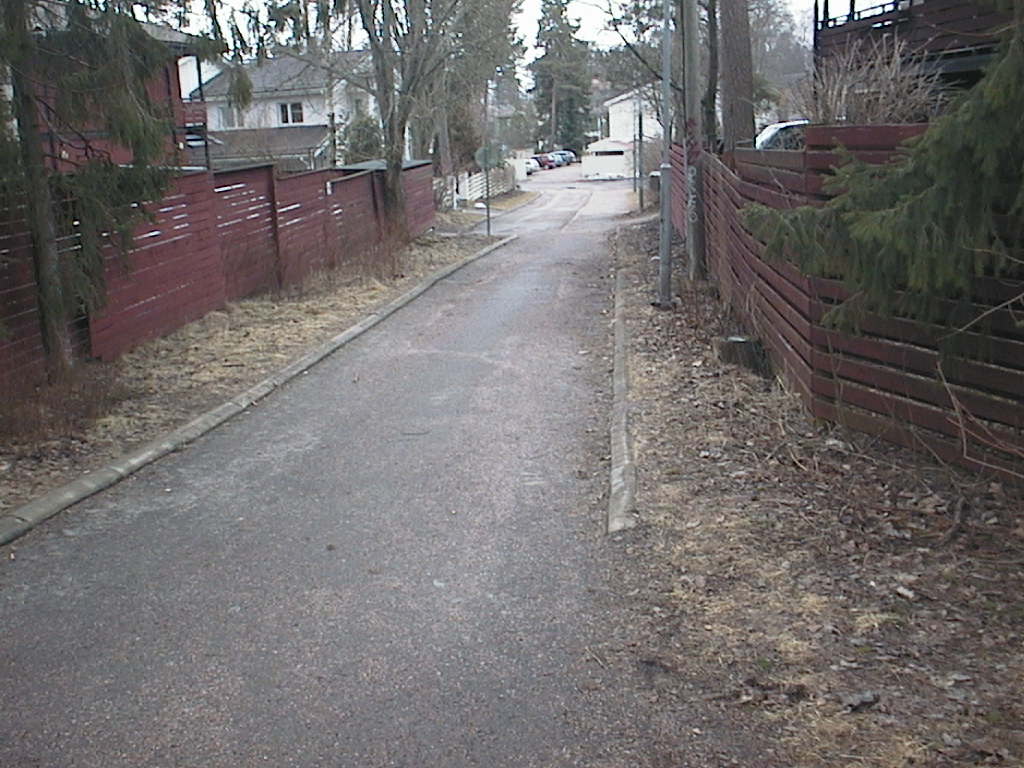 päivän löydöt 28032016 046