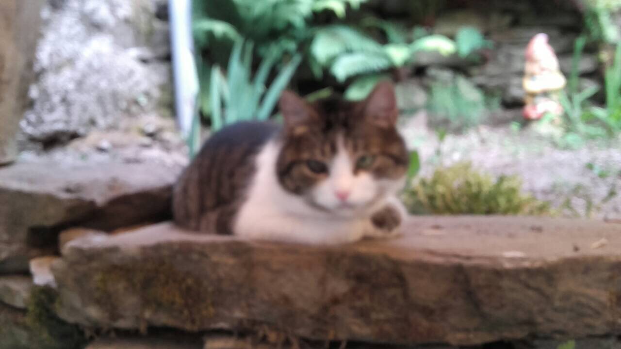 333FC3E9-0DE0-442F-91FF-F84BFEB56E96