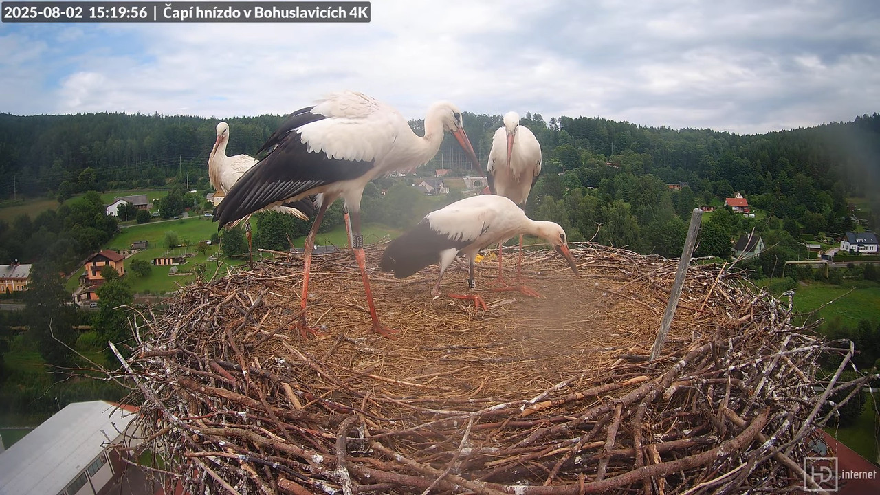 Tiešraide no KARA uzņēmuma stārķu skursteņa Bohuslavicē netālu no Trutnovas 17-13-5 screenshot