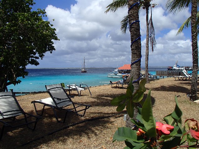 EL Hotel. La ciudad. Snorkel. - BONAIRE - Buceo+ Snorkel + Relax (3)