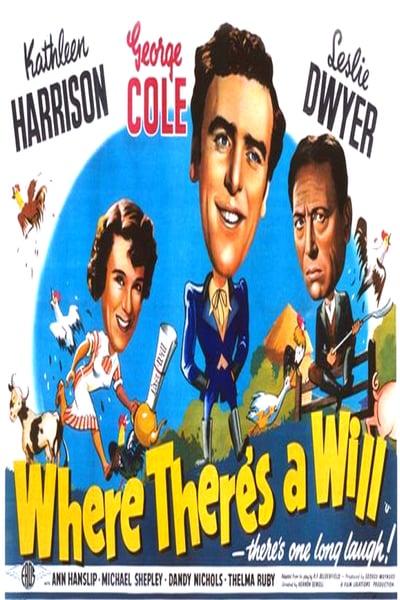 Where Theres a Will 2006 1080p WEBRip x265-RARBG