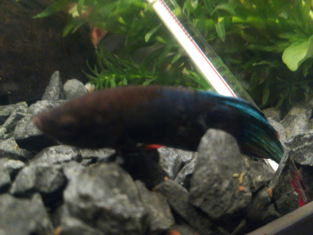 1524167397891110595732