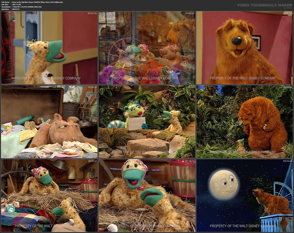 Bear in the Big Blue House S04E06 When Harry Met Hallie.mkv