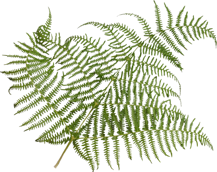 Clockwork Xmas (106)