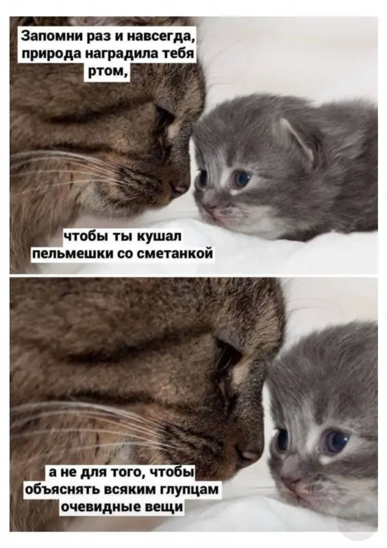 WxriX9G0oWypFKw__q8nrUipnAZbSqmuv4DQQoZ6B0BkQoBQl0-3jw_MumLOR6-Nqw51vCuQpEc8BSgH62Zh7bQj