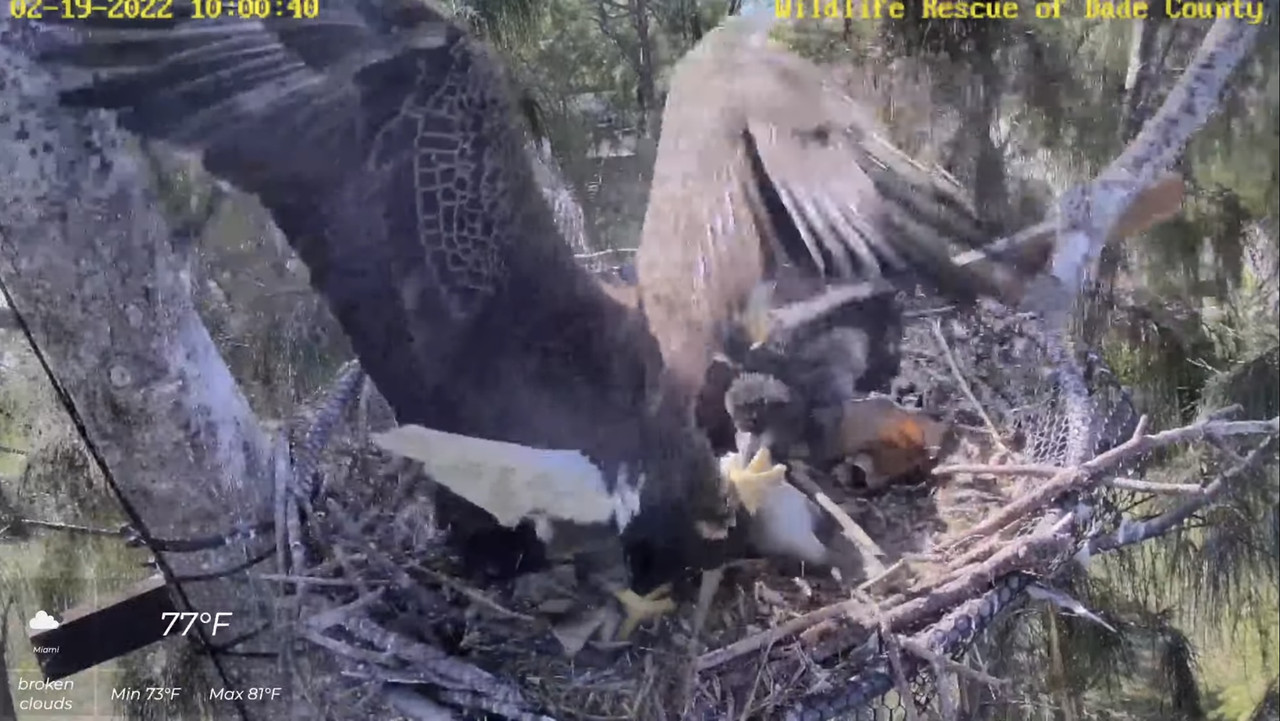 7EEB0226-BDD4-4664-AA87-53704AFB7B13