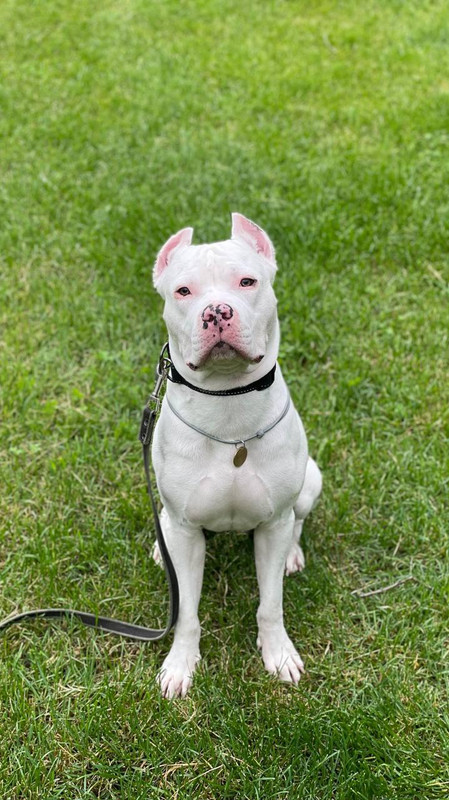 D2AF95AC-EB71-4A59-B4CD-DF4E0CB4D6AC