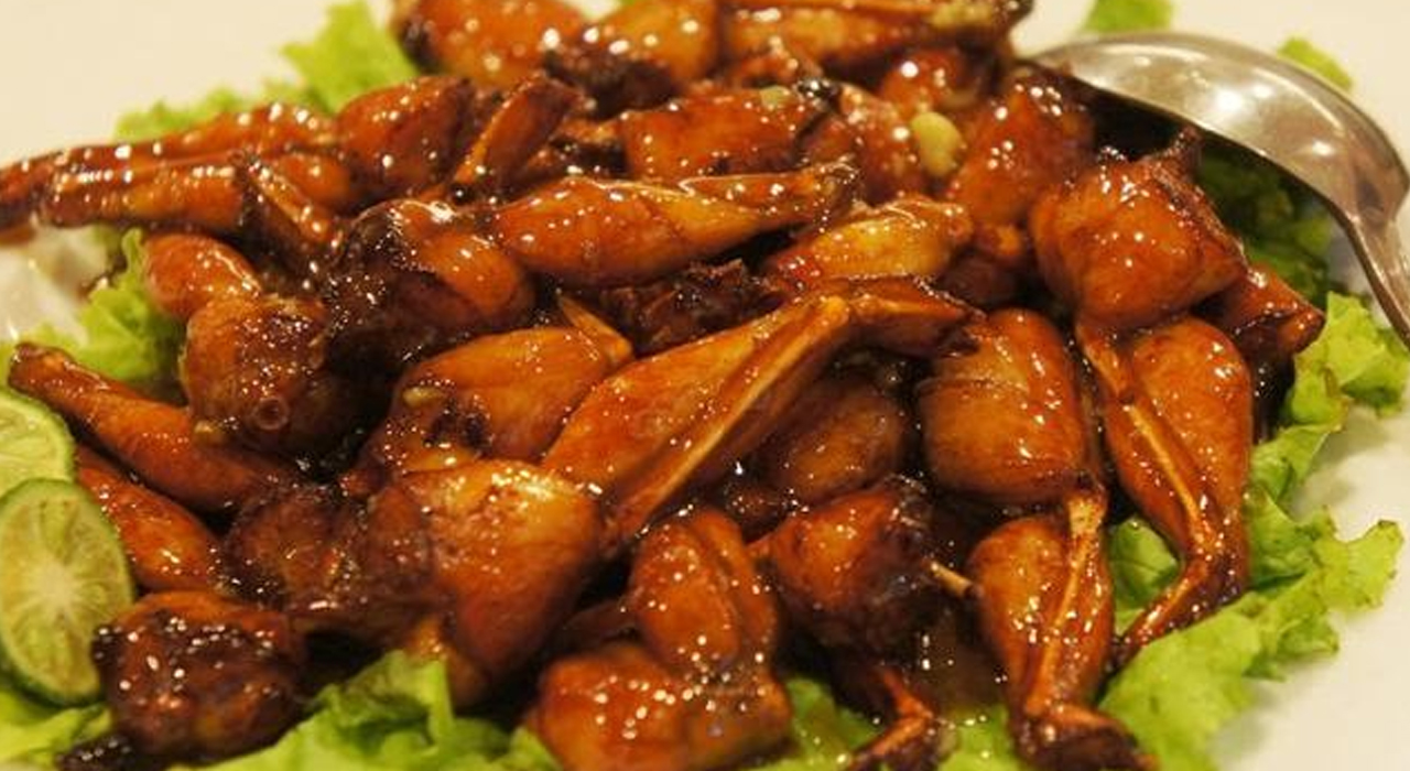 Kuliner Ekstrem, Katak sebagai Sajian Unik di Berbagai Negara