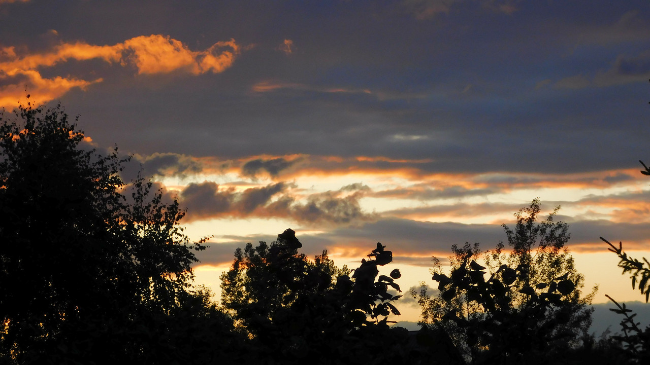 Дачное Маттел к Хелл 2025, Харли и Ко продолжение 017