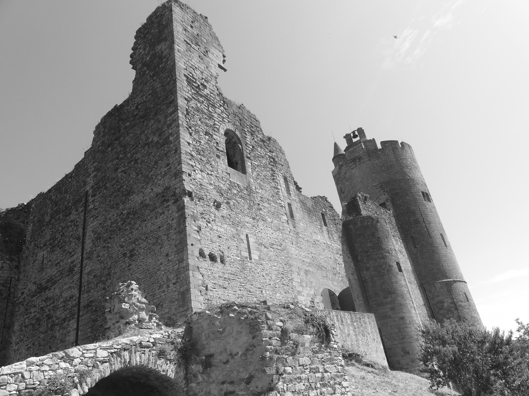 12 aout Visite Forteresse de Najac et Village de Bruniquelle (83)