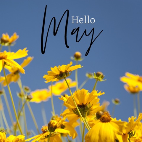 May-Hello