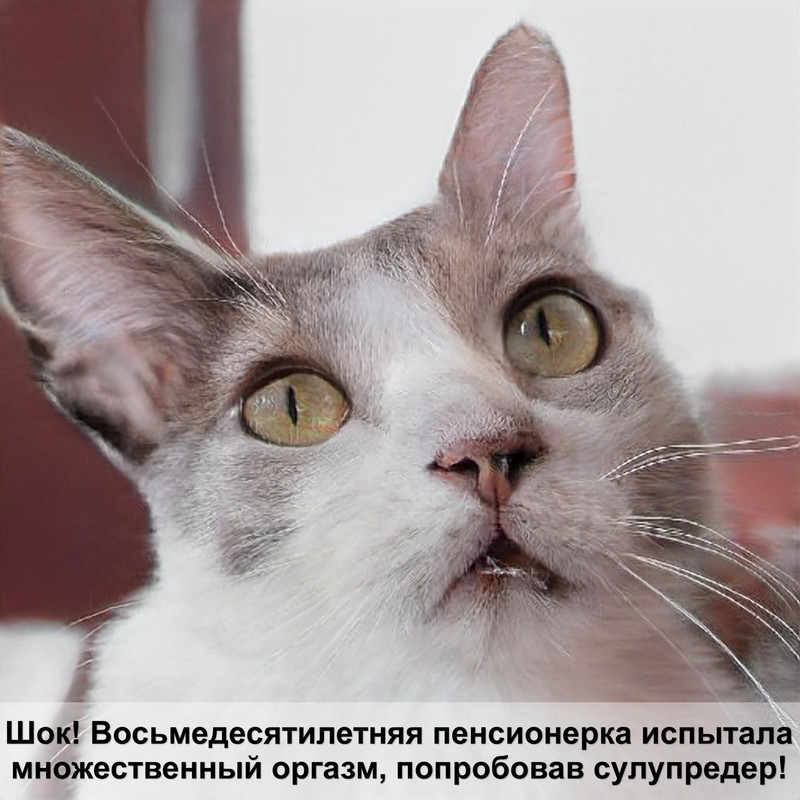 хиллс гипоаллергенный для кошек