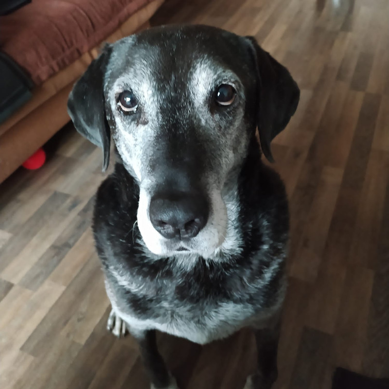 38338627-7707-40A5-8285-F4F64C8929D2