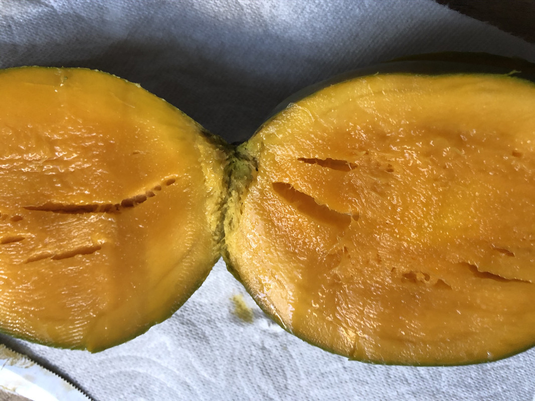 47DCE9FE-A5BD-492E-A49D-8E898AD29F36