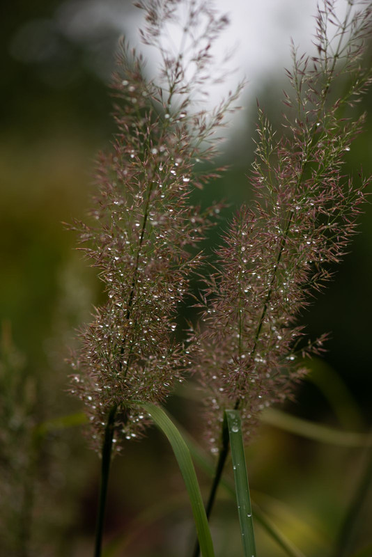 IMG-fedacef6d905895a5fa838bfd556a01b-V