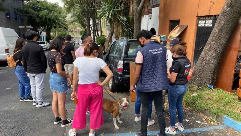 Dan hogar temporal a los perritos maltratados de la Miguel Hidalgo; así los repartieron