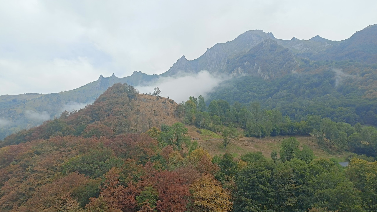 IMG20250818152739 (Large)