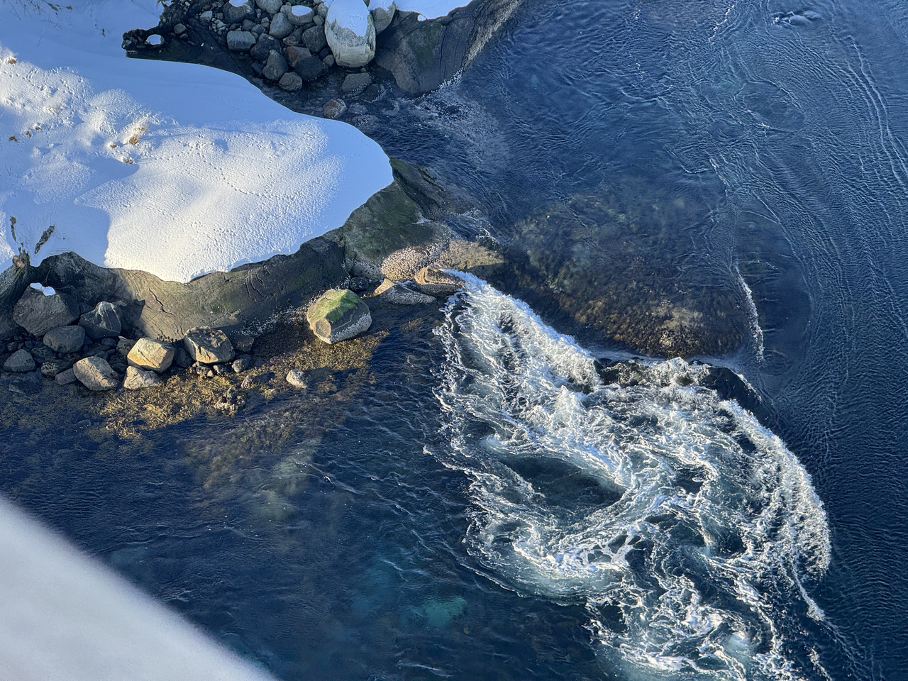 [Immagine: IMG-8979.jpg]