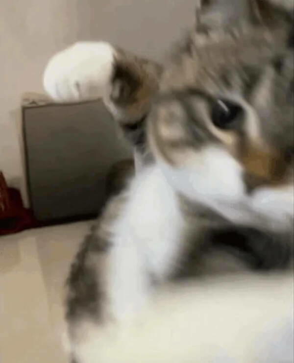929502-fuuu.jpg