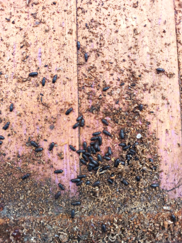 IMG 20260304 141414 796