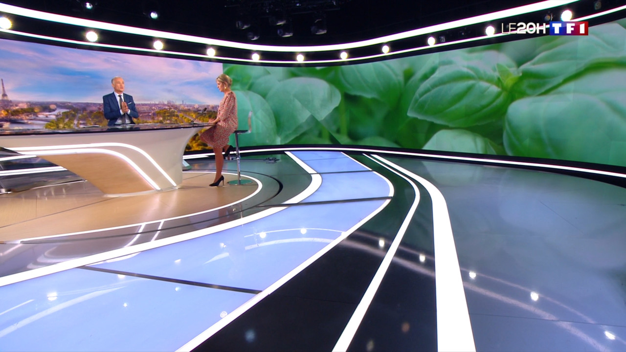 2020-09-15_20_00_TF1_Le-20h.mp4_snapshot_00.39.29.552