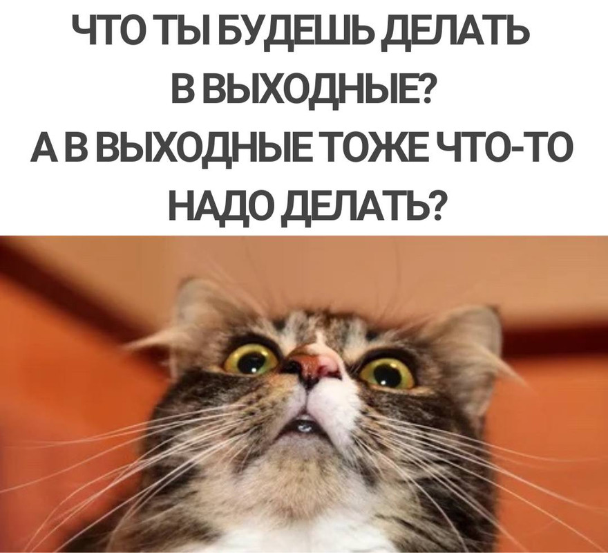 A4149703-C1EF-49EE-A938-4F64676932CB