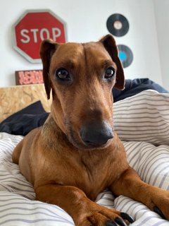 [Image: A520090-D-9-E59-478-F-A6-CE-BEF9-FBBABF58.jpg]