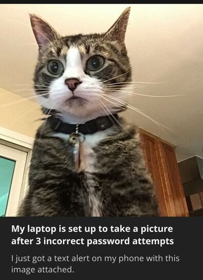 zxdhy