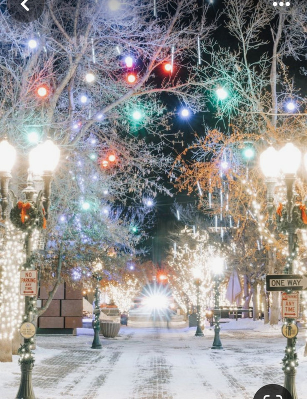 Screenshot_20231111_211919_Pinterest