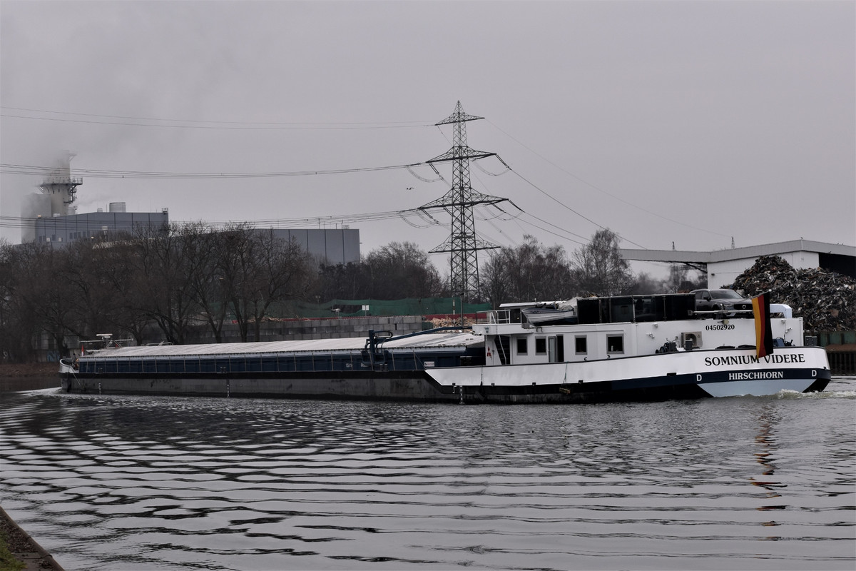 2023.02.11a5 Somnium Videre (1940x1293)