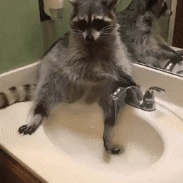 wash