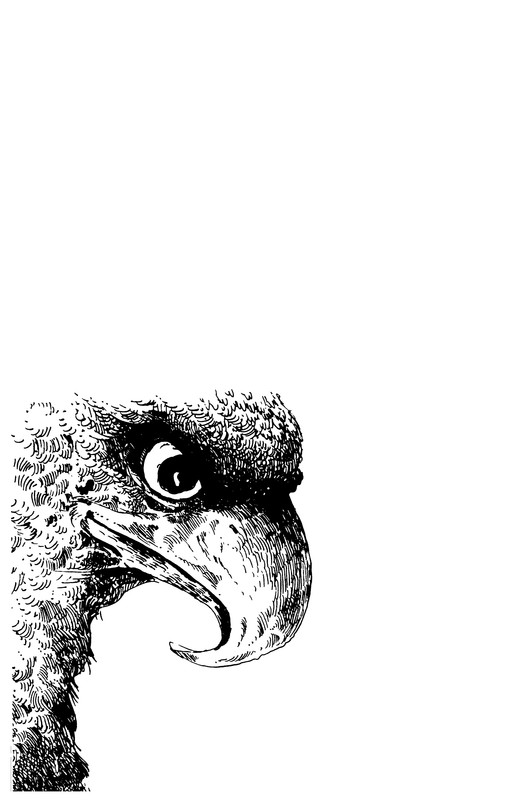p0003