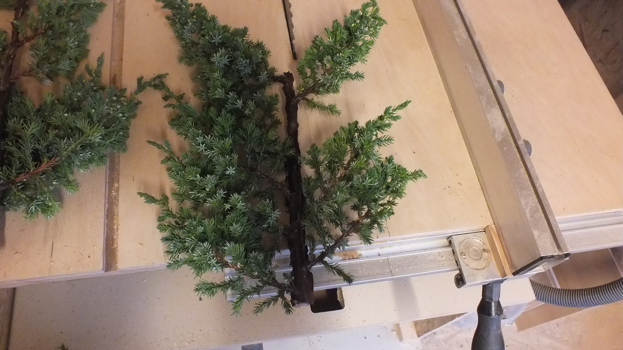 Gehölzrand für Module (17)